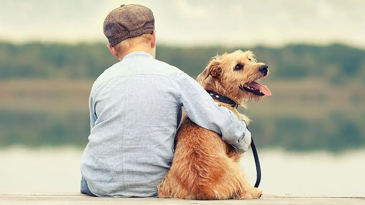 Ein Haustier will gut überlegt sein