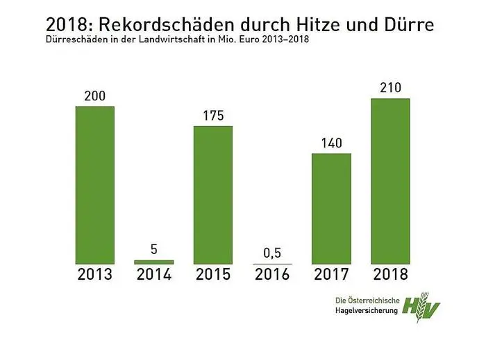 Heuer sind die Schäden so groß wie noch nie