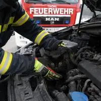 Die Katze im Motorraum