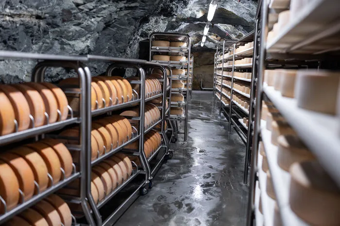 Der Stollenkäse reift im Stollen des ehemaligen Silberbergwerks in Arzberg, hundert-prozentig der Natur ausgesetzt