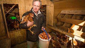 Martin Gfrerer sammelt die Eier händisch ein. Seinen Legehennen darf er nun keinen Auslauf mehr geben