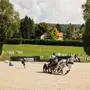 Slalom auf dem Sand: Lipizzanerhengst Pluto Wanda versetzte den Einspänner und den Athleten in ein beachtliches Tempo