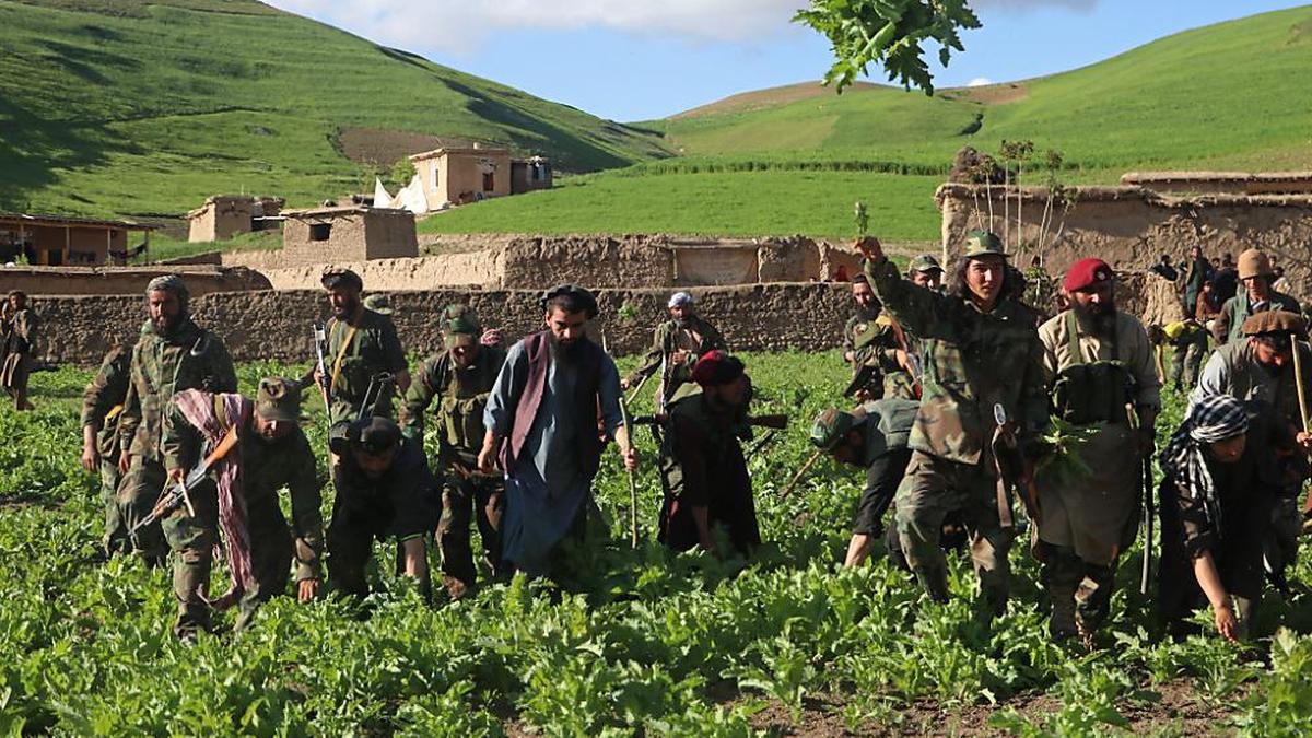 Seit Herbst 2021 regierten die radikal-islamistischen Taliban in Afghanistan.