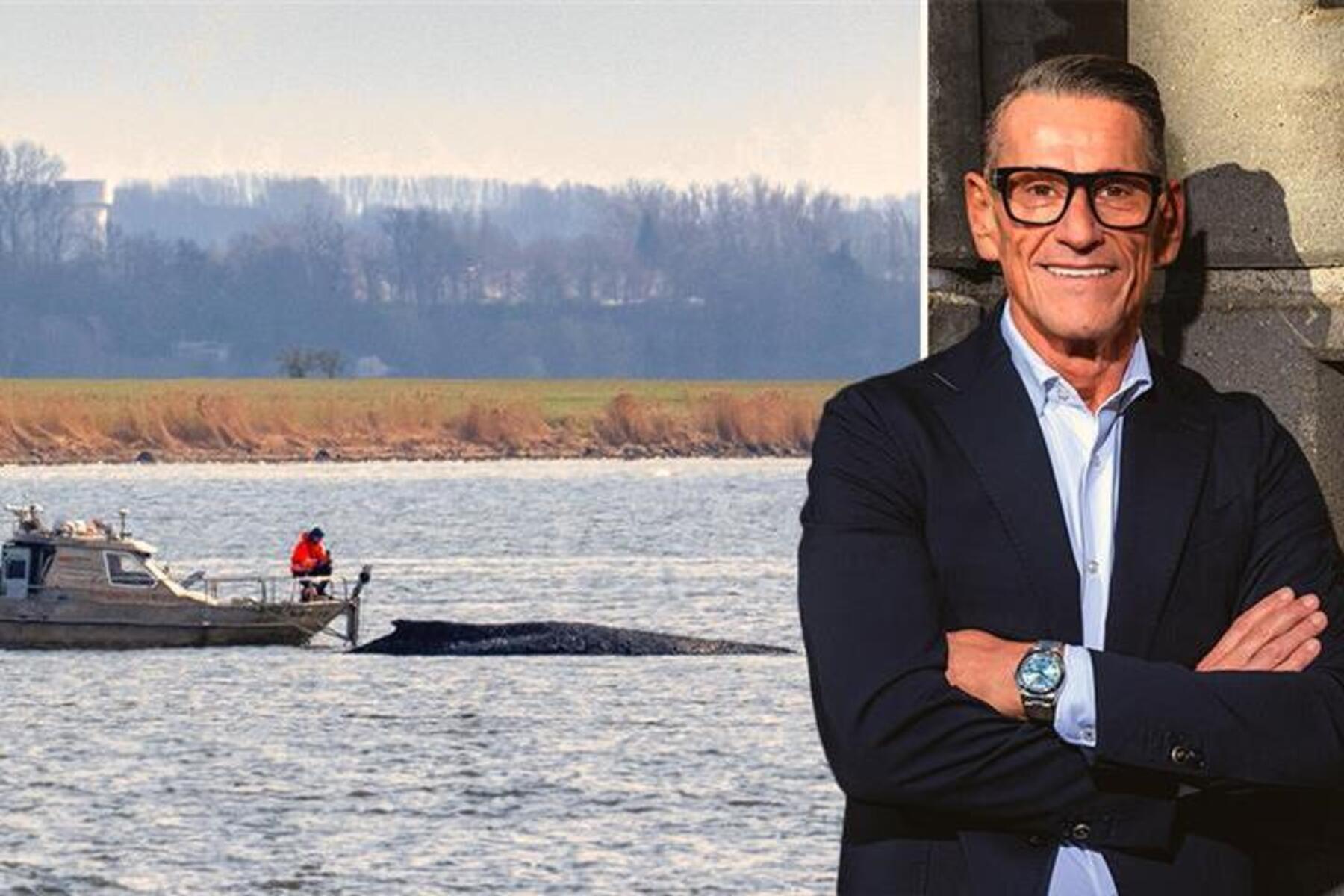 50.000 Euro für Wal Timmy: Prominenter Steirer will Rettung ermöglichen