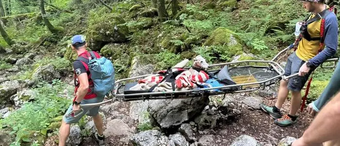 Bei einem Absturz erlitt der Windhund einen offenen Beinbruch