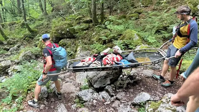 Bei einem Absturz erlitt der Windhund einen offenen Beinbruch