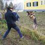 Nachdem eine Joggerin totgebissen wurde, wird in Oberösterreich nun die Schutzhundeausbildung im privaten Bereich überprüft