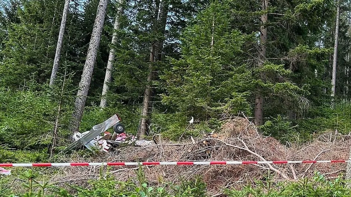 Das Flugzeug wurde im Wald entdeckt 