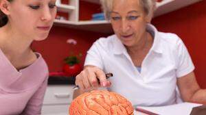 Bei Multipler Sklerose kommt es im Gehirn zu Entzündungsherden, zu sogenannten Läsionen