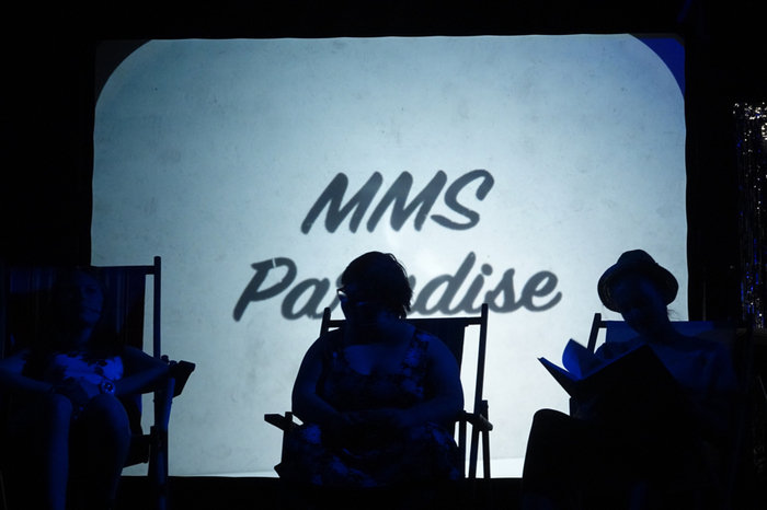 Zum Inhalt: Die Familie Mustermann gewinnt eine Luxusreise auf dem Kreuzfahrtschiff "MMS-Paradise" und erlebt dabei viele Abenteuer am Bord und in New York.