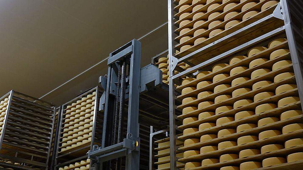 Durch Investitionen, etwa in die Käseverarbeitung, kann die OM große Milchmengen abnehmen und vearbeiten