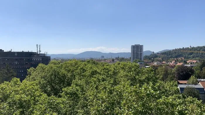 Im ersten Stock sieht die Elisabethstraße in der warmen Jahreszeit aus wie ein grüner Fluss, zu ebener Erd' schiebt sich auf grauem Asphalt eine Blechlawine Richtung Stadt.