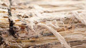 Bürger befürchten Freisetzung von Asbest und fodern Antworten von der steirishen Politik