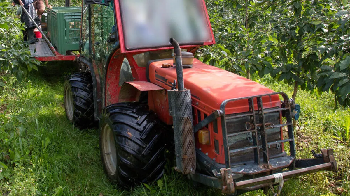 Der Unfall passierte bei der Apfelernte