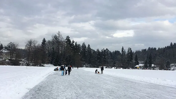 Freie Fahrt auf dem Moosburger Teich