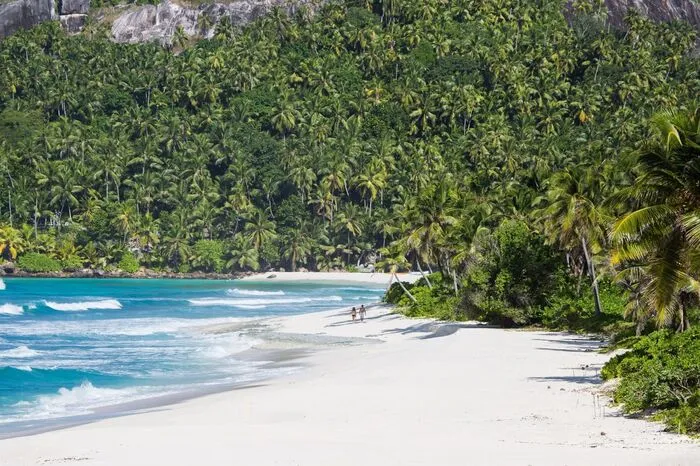 North Island: Privater Luxus und Naturparadies. Die wohl luxuriöseste Insel der Seychellen, North Island, befindet sich etwa 32 Kilometer nordwestlich von Mahé. Die gänzlich in privater Hand liegende Insel ist ein Naturschutzgebiet höchster Qualität. Selbst die Gästevillen des einzigen Resorts North Island Lodge bestehen aus Pflanzen, Bäumen und anderen Natur-Materialien. Das Konzept hat Erfolg: Der Pflanzenreichtum der Insel ist extrem vielfältig. Die Naturschützer haben selbst vom Aussterben bedrohte Arten wieder erfolgreich angebaut. Der West Beach ist ein langer Strand im Westen mit türkisblauem Meer und imposanten Palmen. Durch ein vorgelagertes Riff ist der Strand vor dem offenen Meer geschützt, wodurch ideale Bedingungen zum Schwimmen und Schnorcheln herrschen. Das gilt besonders für Familien mit Kindern, die an dem weiten Sandstrand viel Platz zum Spielen haben. Am West Beach gibt es eine Strandbar aus Kokosnüssen, Palmenblättern und Pinien, die erfrischende Getränke anbietet.