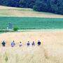 Die Helfer gehen in einer Reihe durch die Wiesen und Felder, um möglichst viele Tiere aufzuspüren, wie vor Kurzem in St. Georgen am Sandhof bei Klagenfurt