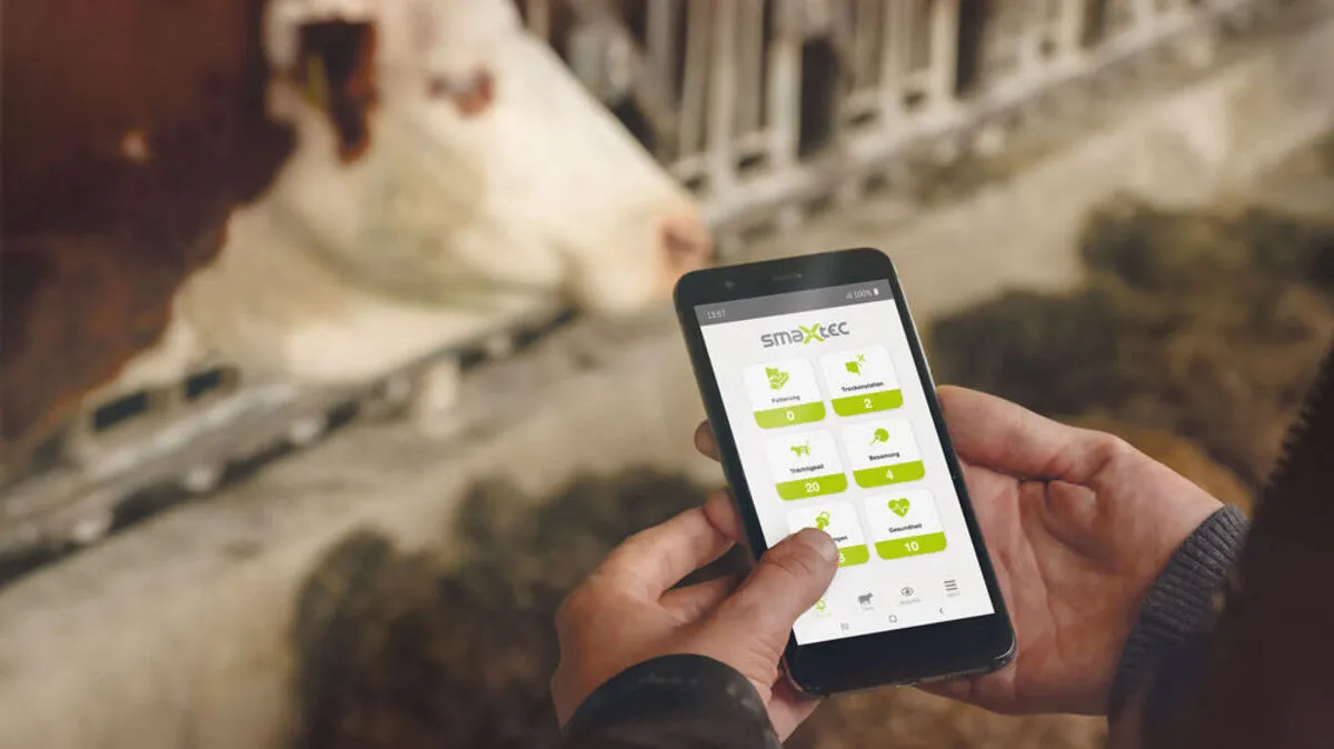 smaXtec misst Daten direkt im Magen der Milchkühe