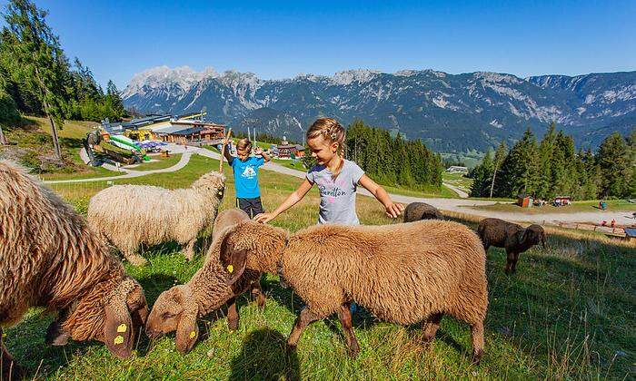 Im Streichelzoo können große und kleine Besucher der Natur ganz nahe kommen