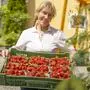 Eine Frau hält eine Kiste voll mit roten Erdbeeren.