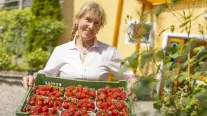 Eine Frau hält eine Kiste voll mit roten Erdbeeren.