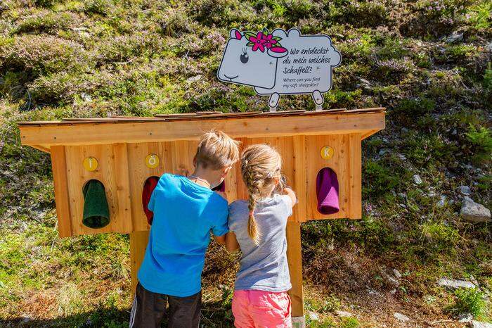 Gehen alleine reicht nicht – auf der Wanderung müssen Erlebnisse warten. Wie die Rätsel rund um den Schafsinnteich 