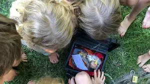 Vom verdächtigen Gegenstand ging keine Gefahr aus! 