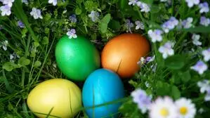 Man sieht vier gefärbte Ostereier in einer Wiese mit Gänseblümchen liegen