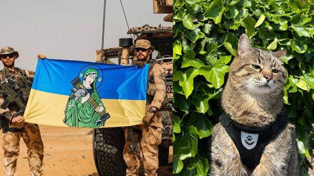 Sankt Javelin und Kater Stepan: Zwei Ikonen der Ukraine im Krieg gegen Russland