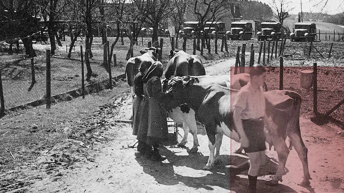 Sandra Schäfer, "What futures are promised, what futures are forgotten? Reading a family archive", 2021.