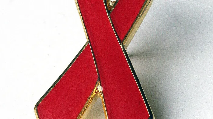 Die steirische Aids-Hilfe konzipierte neue, sechsstündige Workshops für die Oberstufe zum Thema sexuelle Gesundheit und probierte sie an Pilotschulen aus, 229 Schülerinnen und Schüler wurden danach dazu befragt, wie sie sich zum Thema sexuelle Gesundheit informieren.