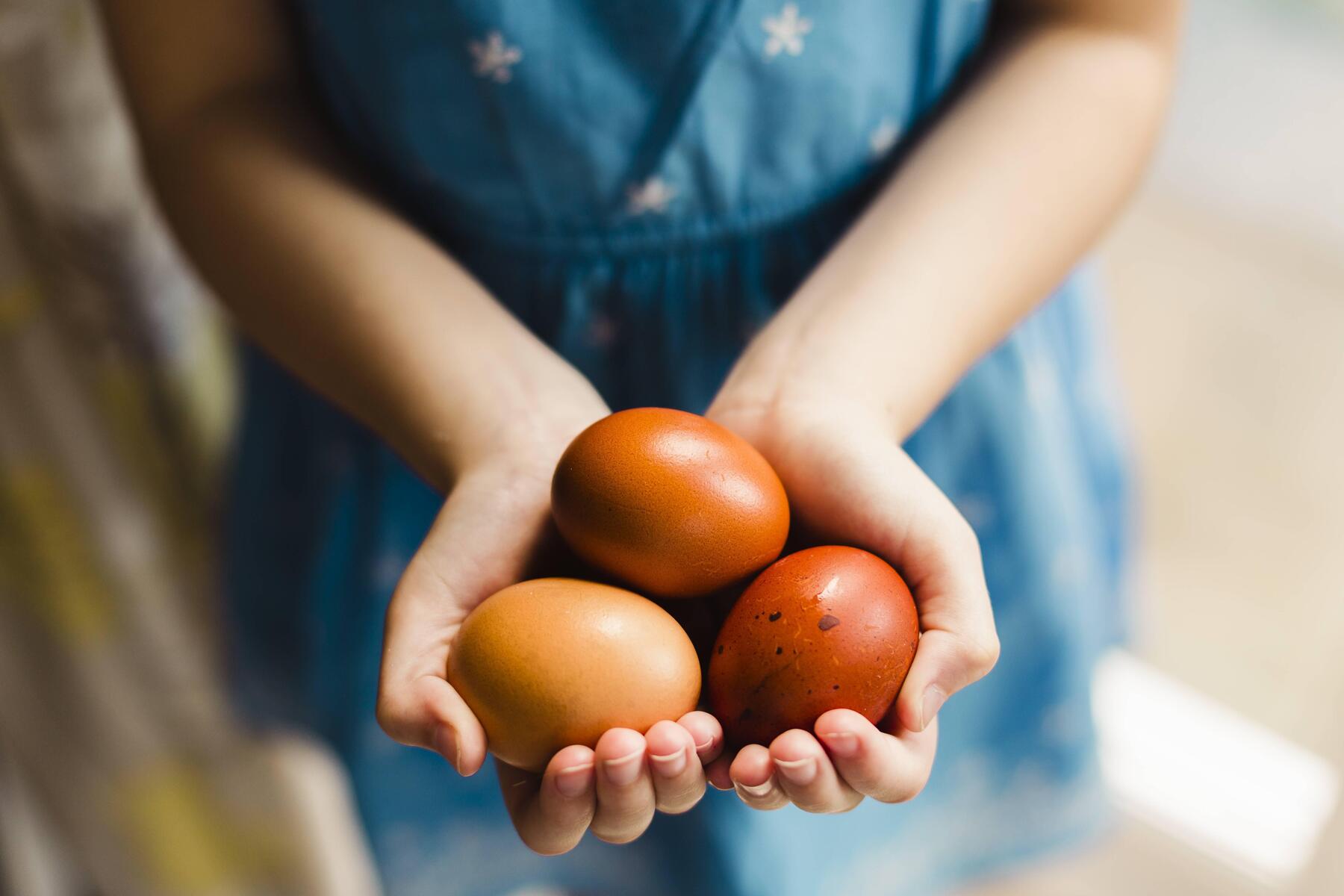 Eierknappheit vor Ostern: Die Steiermark braucht mehr Legehennen