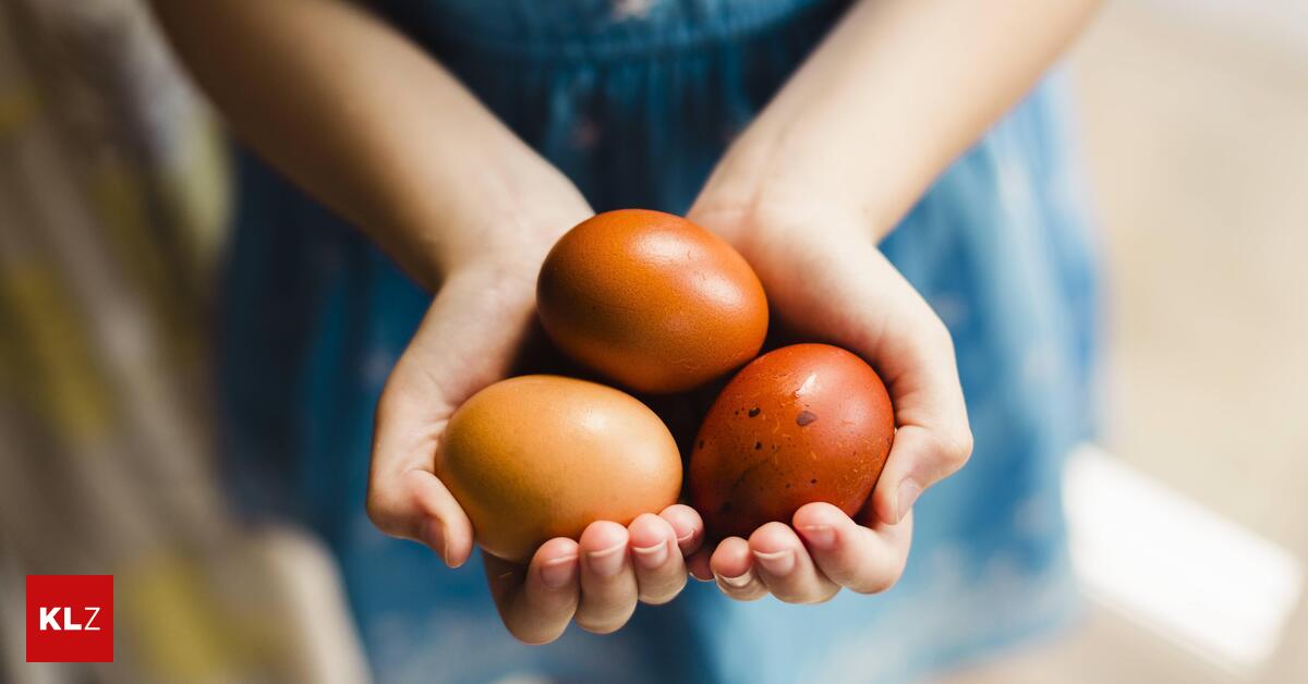 Eierknappheit-vor-Ostern-Die-Steiermark-braucht-mehr-Legehennen