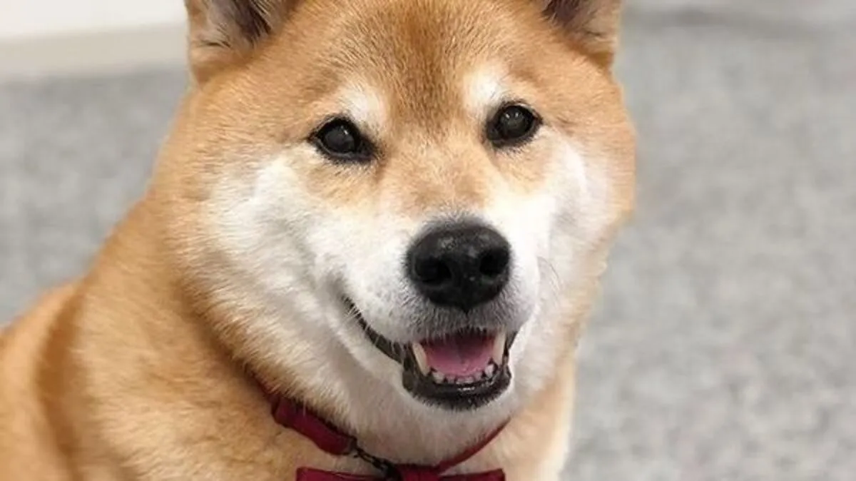 Maru