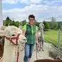 Helga Strohmeier und ihre Alpakas