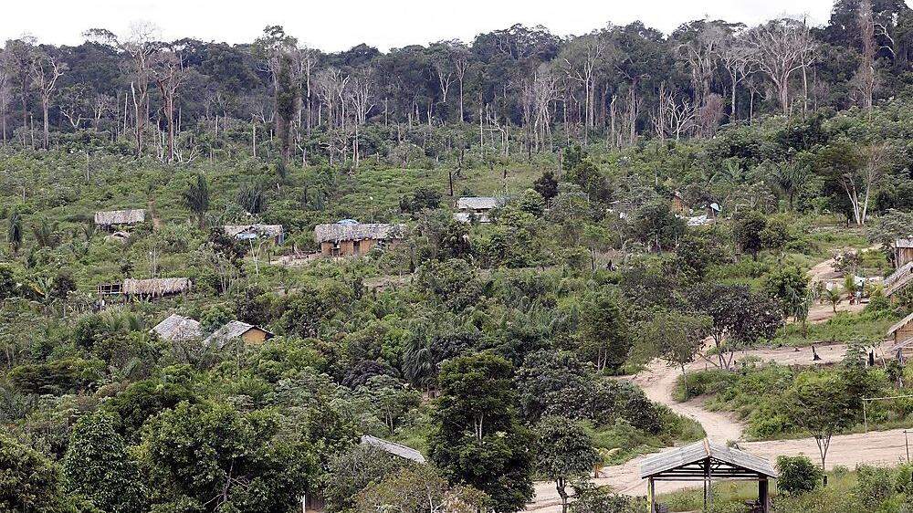  Gerade Brasiliens Regenwald ist massiv bedroht