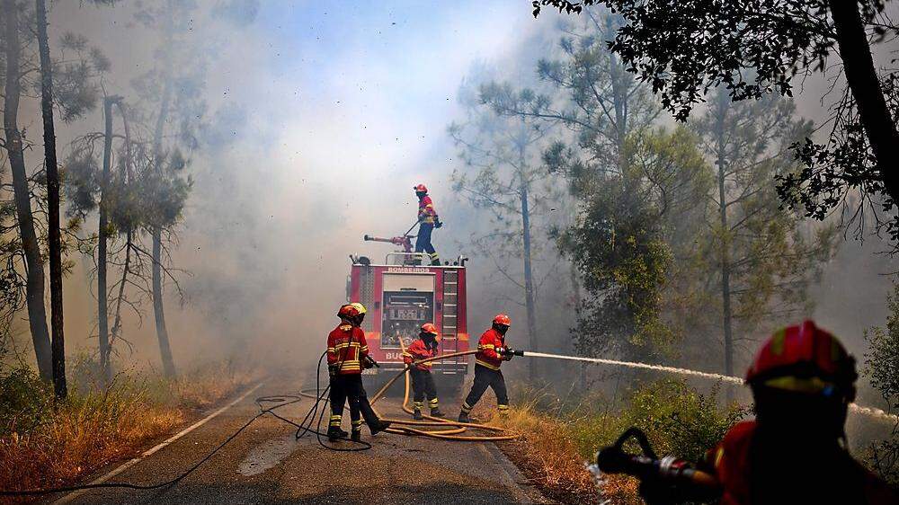 Verheerende Waldbrände in Portugal