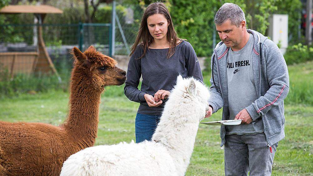 Vanessa und Tom Herzog versorgen nicht nur ihre Alpakas selbst, sondern alle Tiere auf ihrem Bauernhof