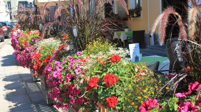 5 Flora für Gamlitz