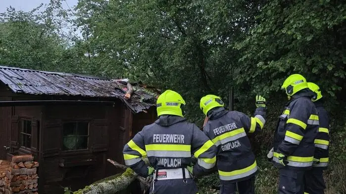 Bei einem Unwetter im Juni fällte der Sturm im Bezirk Leoben zahlreiche Bäume