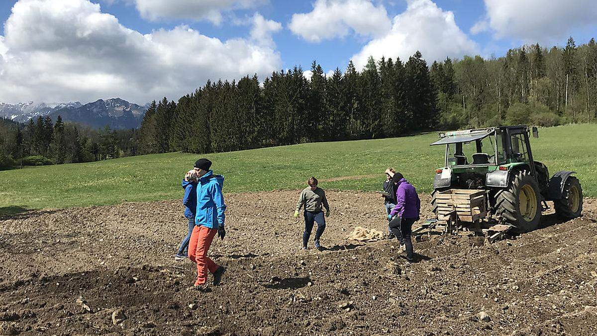 Die Mitglieder der Initiative &quot;Trofaiach - Unser Garten&quot; auf einem der beiden Gemeinschaftsäcker