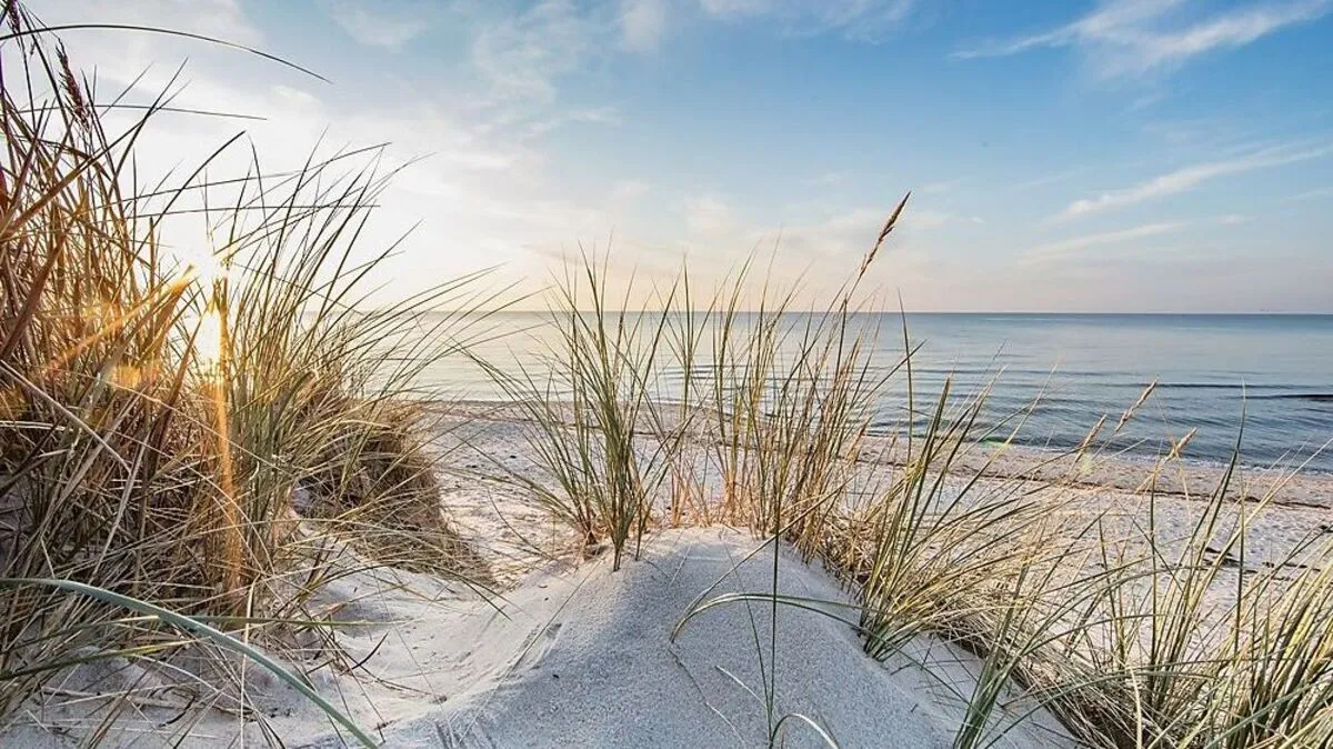 Ein Strandabschnitt in Sylt ist zu verkaufen, laufende Kosten gibt es laut Anzeige keine