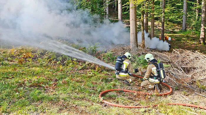 Durch die Trockenheit können leicht Waldbrände entstehen (Archivbild)