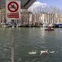 Paris, France March 29, 2025 - Coupe de Paris cold water swimming event at the Bassin de la Villette. Paris City Hall is planning to make the Seine swimmable and open three bathing areas in the city center this summer. BAIGNADE A PARIS, EAU, PROPRETE, LOISIRS AQUATIQUES, LIFESTYLE, PARIS, TEMPS LIBRE, BAIGNADE EN EAU FROIDE, COUPE DE NOEL, NAGEURS, NAGER, BASSIN DE LA VILLETTE, XIXEME ARRONDISSEMENT, WEEK END, SOLEIL, SPORT, NAUTIQUE, NATATION, PUBLICATIONxNOTxINxFRA Copyright: xVincentxIsorex