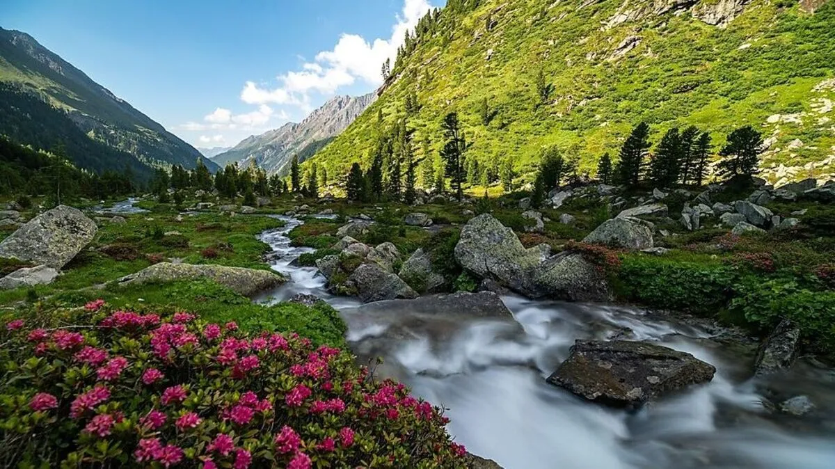 Das Dorfertal in Kals schrieb Geschichte und war Treffpunkt für die Reminiszenz für den Nationalpark 