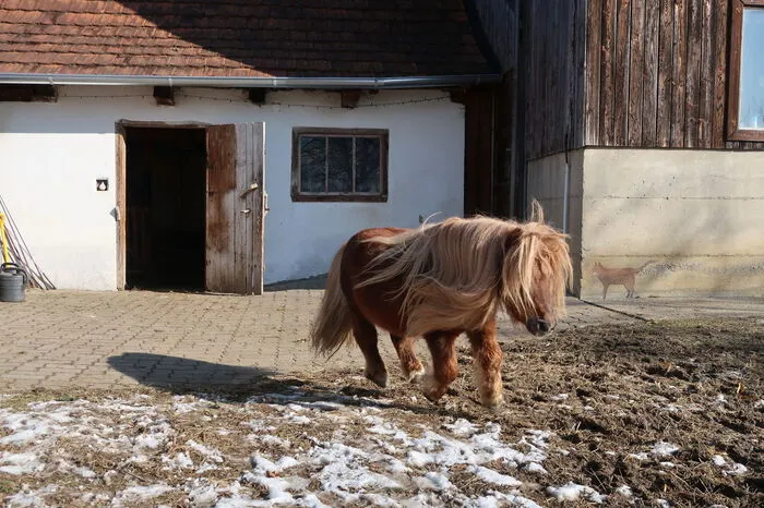 Weitere Bilder...