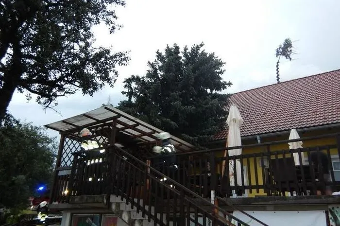 Ein Baum war auf das Dach des Gebäudes gestürzt und musste entfernt werden.