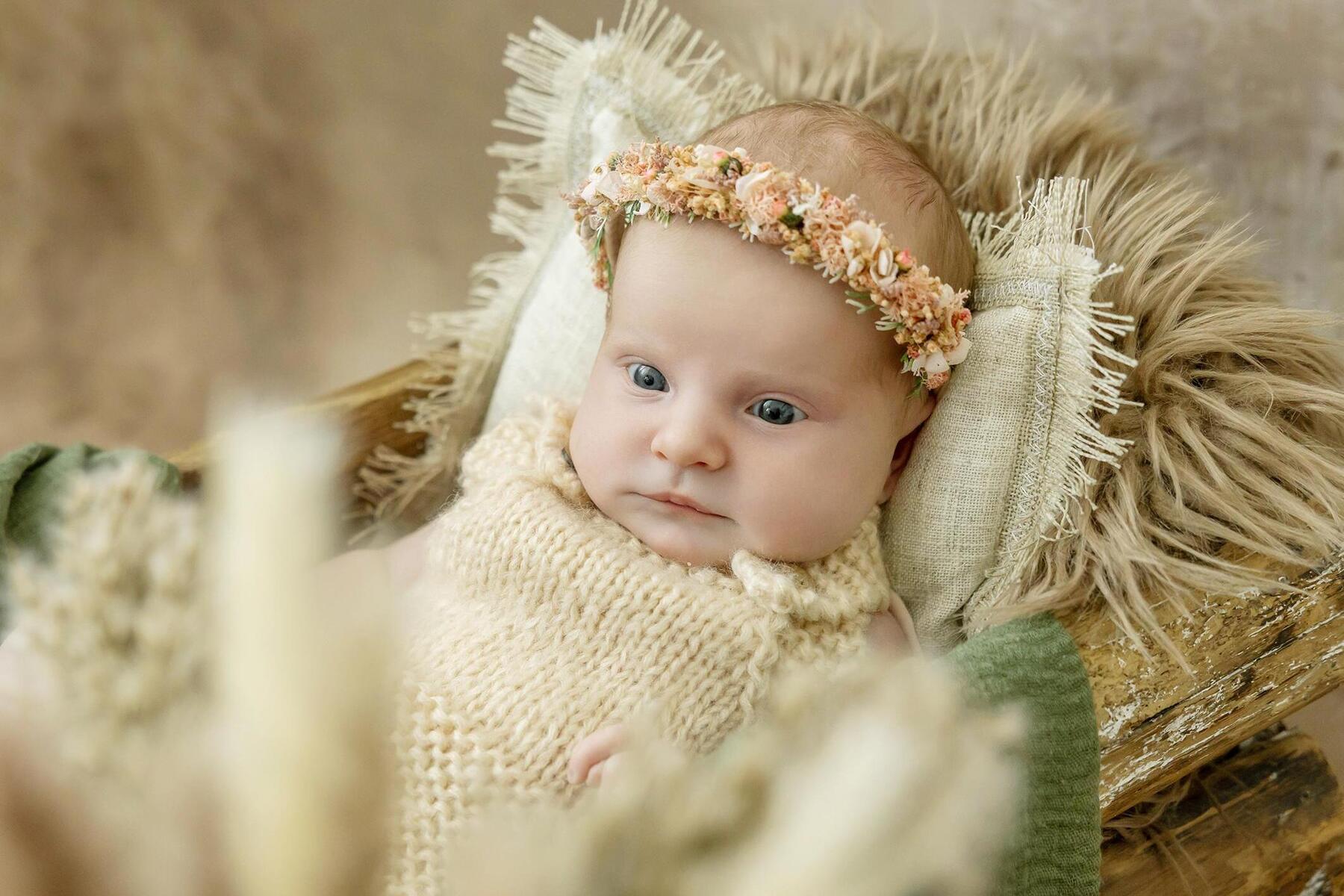 Hurra wir sind da: Die Sprösslinge aus dem Bezirk Liezen