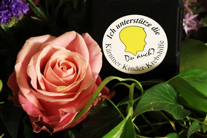 Bitte klicken Sie sich durch die Fotogalerie!