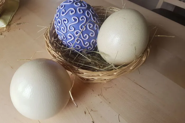 Natur belassen oder bemalt - Straußeneier der Familie Madl